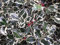 Portal Cool Ilex aquifolium Argentea Marginata - Verändertes Holly, In 9cm Topf