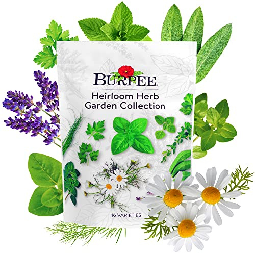 Burpee Heirloom Herb Seeds Variety Pack, Non-GMO, 16 Herbs - 15,000+ Seeds with Basil, Chives, Catnip, Chamomile, Cilantro, Dill, Lavender, Oregano, Parsley, Rosemary, Spearmint, Sage, Tarragon, Thyme