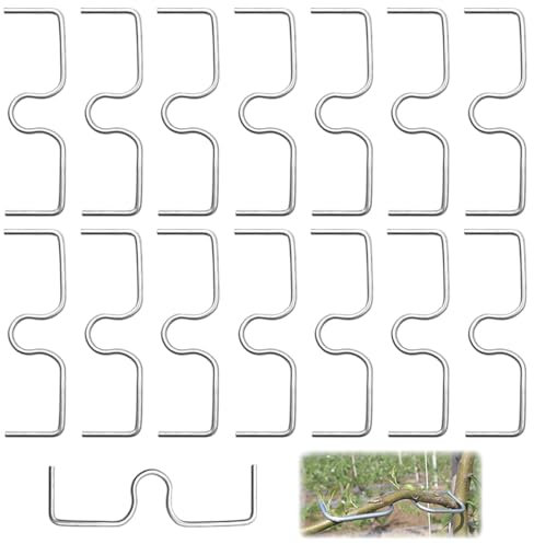 YDHfdc 15 Piezas Esparcidor de Ramas de Frutas 13cm Extractor en Forma de M Doblar Separadores de Árboles para Dar Forma a Ramas de Árboles Frutales