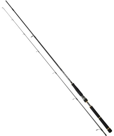 Daiwa BG Seabass Spin - 9' / 14-42g / 2pc - BG902HFS-CF