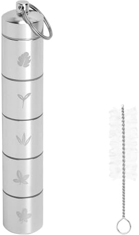 Mini set di barattoli per spezie da viaggio, 5 in 1, mini saliera da viaggio, in acciaio inox, portatili, con 1 spazzola per la pulizia per picnic, barbecue, da viaggio