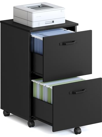 VASAGLE 2-Drawer Filing Cabinet, Mobile File Cabinet for Home Office, Small Rolling Filing Cabinet, Printer Stand, for A4, Letter-Size Files, Hanging File Folders, Matte Black OFC040B16