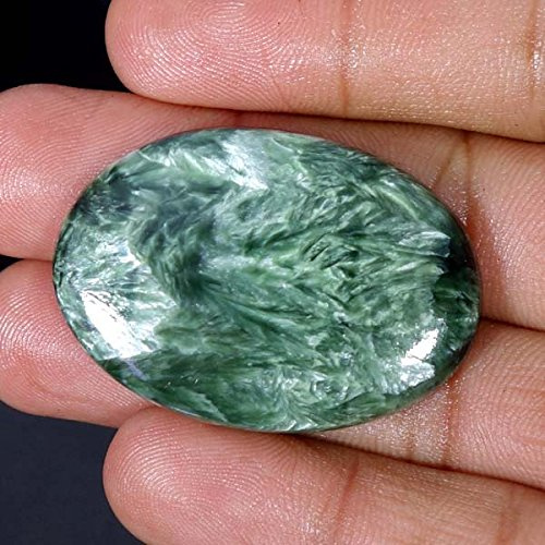 Kznifmk Juego de Herramientas de Apicultura para Cosecha de Miel, Colador de Miel de Doble Tamiz, Agarre de, Horquilla Sin Cubierta, Rodillo de Aguja Sin Cubierta