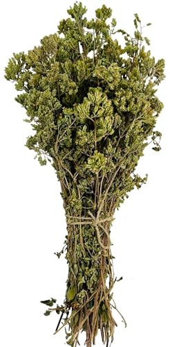 Certifierad Ekologisk Grekisk Torkad Bergs Oregano Bukett 85g - 1,95kg Origanum Vulgare (1950 gram)
