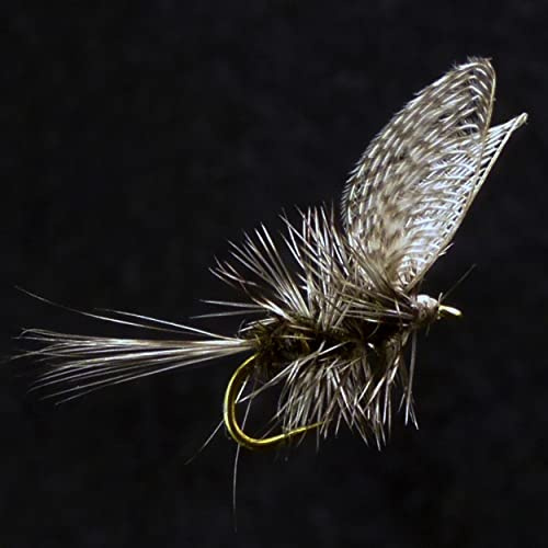 Flugfiske, torra flugor/nymfar/Caddis fallskärm/DORATO Hare's Ear/ELK Hari/GRIFFITH'S GNAT/HEMMINGWAY/fallskärmsadams/Royal Coachman/PEG's midge (Wally Wing)