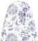 MinoCino Bügelbrettbezug 115x35cm, Dicker Bügelbrettbezug mit 6 mm Filzpolsterung, Verstellbarer Kordelzug, Klettverschlüssen, Blumen- und Schmetterlingsdruck