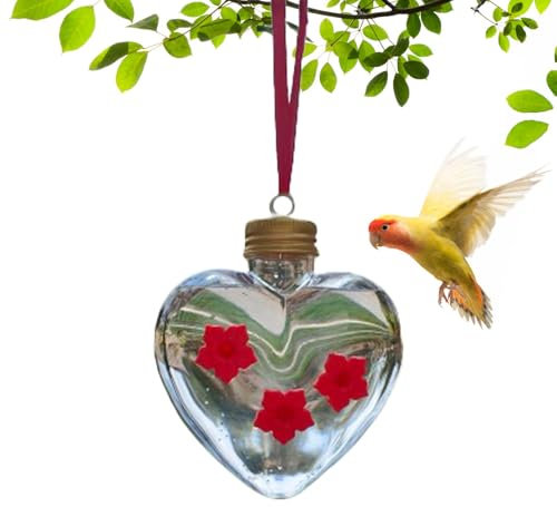Distributeur de nourriture pour colibri pour l'extérieur, unique en forme