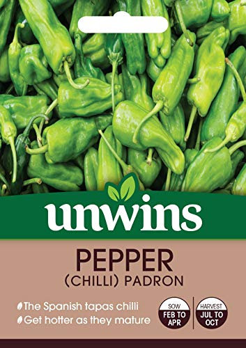 Unwins Vegetable Pepper (Chilli) Padron 10 Seeds