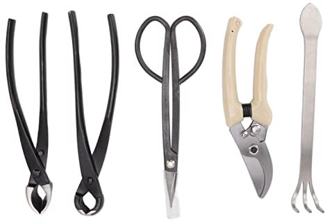 Kit D'outils Pour Bonsaï Avec Sac De Rangement, 5 Pièces, Coupe-ciseaux, Cisaille, Ensemble D'outils De Jardin, Outils Pour Bonsaï Succulents, Ciseaux à Bonsaï En Acier Au Carbone, Râteau, Coupe-branc
