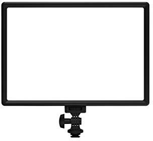 RALENO LED Video Light, White Camera Light with Mini Stand for Pictures Video Recording,4000mAh Battery CRI>95 3200K-5600K Photo Lights for Outdoor Photography Live Streaming Zoom Calls (White)