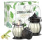 Citronella Kerze, 2 Stücke Citronella Kerze Outdoor im Glas Natürliches Sojawachs, Zitronengras Duftkerzen Retro Dekor - Perfekt für Camping, Grillen, Picknicks, Garten, Schlafzimmer