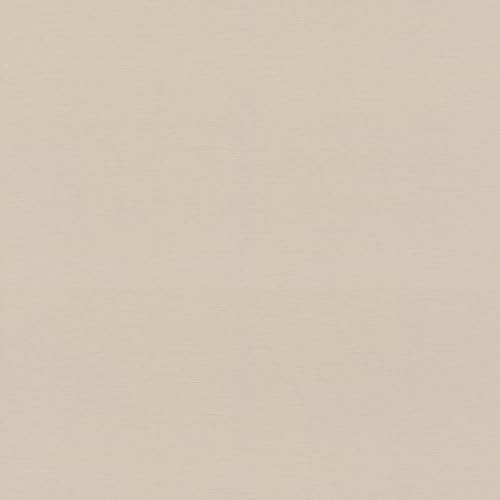 Rasch Carta da parati in tessuto non tessuto, struttura in lino, effetto tessuto, beige, per un'atmosfera urbana, robusta e lavabile, 10,05 m x 0,53 m