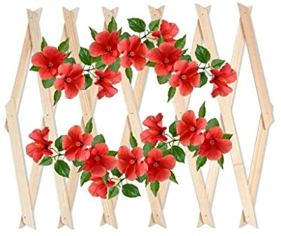 Expanding 6ft Wooden Trellis Climbing Plants Fence Panel Screening Lattice UK (Natural 180 x 90cm)