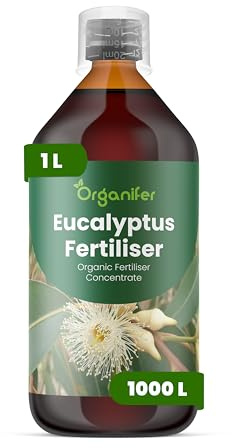 Organiskt flytande gödsel 1L för Eukalyptus – frodiga blad och hälsosam tillväxt - Organifer