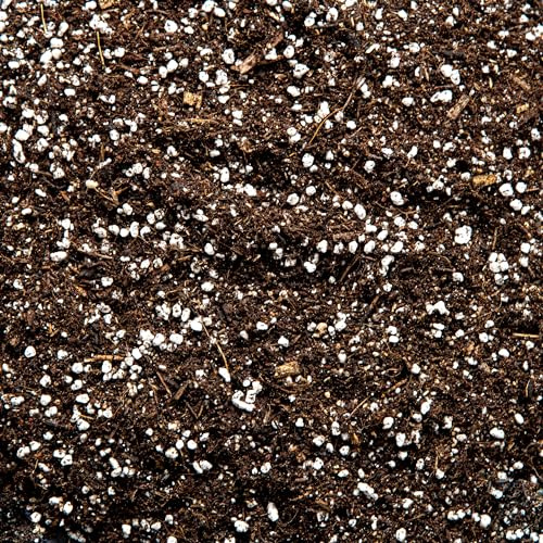 Superior Cacti and Succulent Potting Mix - Enriched with Nutrients (15L)