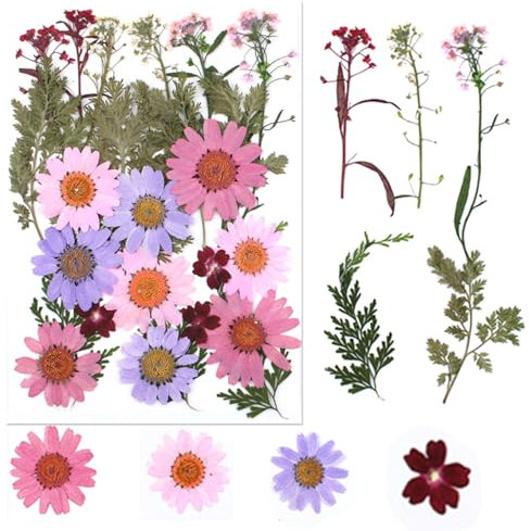 Dried Flowers for Crafts, 24 PCS Pressed Flowers for Resin Real Natural Colorful Handmade Flower Mixed Pressed Daisies Transparent Flower Stickers for DIY Scrapbooking (Pink)