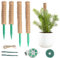 FALSKT 2 Piezas 42CM Tutores para Plantas, 2 Piezas 32CM Tutor Monstera de Fibra de Coco Natural, Plant Support Superpuesta, Moss Pole, para Plantas Trepadoras de Interior en Maceta