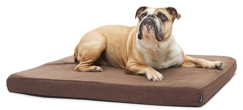 Barkbox Orthopedic Dog Bed with Memory Foam, Premium Comfort for Dogs and Puppies, Dog Bed for Joint Relief and Restful Sleep, Durable and Easy to Clean - Espresso, Medium