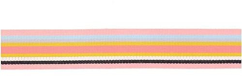 Ruban polyester tissé à rayures - Multi - Rose/Noir/Iris/Gris/Jaune/Bleu - 25 mm x 3 m