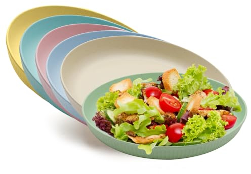 HENGBIRD Plastikteller 6er 23cm Qualität Camping Teller Set, Kinderteller Plastikteller Kinder Campingteller Kunststoffteller, Rice Teller Plastik Teller Set für Salat Pasta Party, Spülmaschinenfest