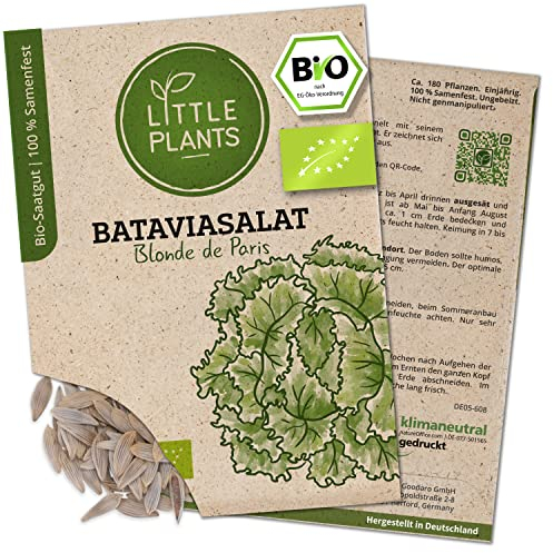 Litte Plants BIO Bataviasalat Samen, 180 Salatsamen, hohe Keimrate, 100% Natürlich, BIO Samen Bataviasalat Blonde de Paris für Gemüsegarten, Gemüsebeet, Hochbeet – BIO Gemüsesamen Saatgut Nachhaltig