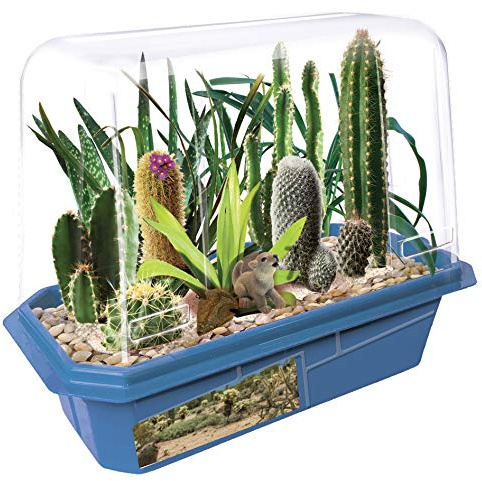 Toys By Nature Miniature Worlds Desert Oasis Succulent Terrarium Starter Kit - Complete Supplies for Fast Growth Rate! Fun & Easy Setup for Indoor Miniature Garden (Desert Plant Collection)