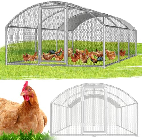Hebitod Pollaio con recinto, 3x6x2m, per piccoli animali, con serratura di sicurezza e copertura impermeabile, tetto a cupola per galline, gabbia per uccelli, piante
