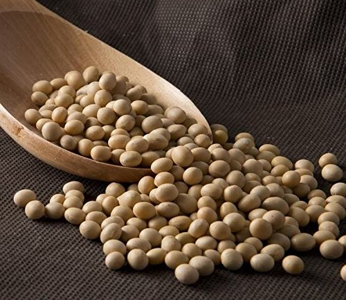 Soja Amarilla (Blanca) a Granel - 1000g | Rica en Proteínas y Fibra, Ideal para Platos Vegetarianos y Veganos