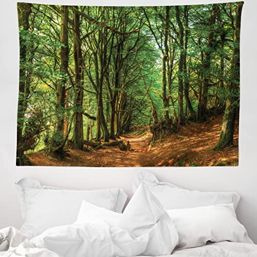 ABAKUHAUS Wald Wandteppich, Wald Pathway Szene aus Weiches Mikrofaser Stoff Waschbar ohne Verblassen Digitaldruck, 150 x 110 cm, Grün braun