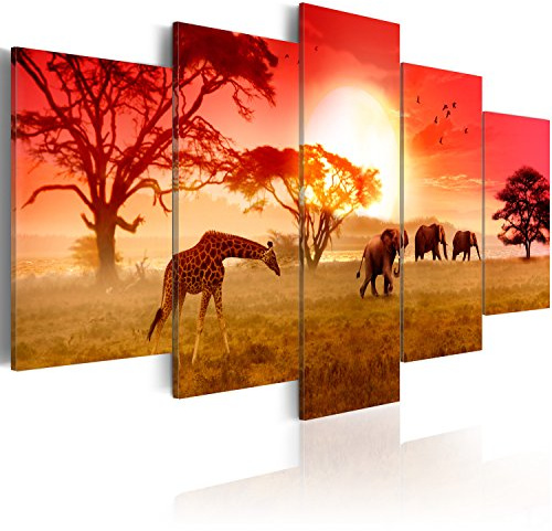 murando Cuadro Acústico Africa 100x50 cm espuma acústica absorbe el sonido aislamiento lienzo de 5 piezas Impresión Artística Decoración de Pared Imagen Gráfica 030112-62