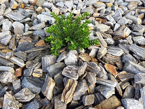 Decorative Gneiss Stone Bark, 16-32mm, Grey Landscaping Gravel for Gardens, Outdoor Aggregate (20kg x 2)