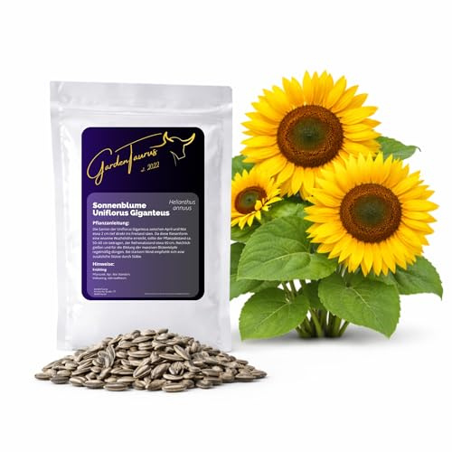 Sonnenblumensamen Uniflorus Giganteus 1 kg – Riesensonnenblumen Saatgut für ca. 200 m² – Großblumige Garten Sonnenblumen Samen – Ideal für Garten, Bienen & Vögel