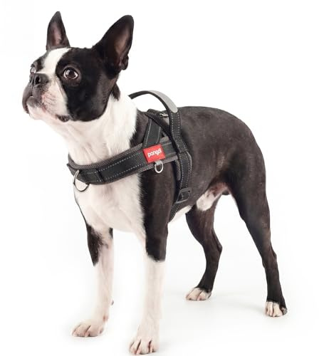 pangdi No Pull Dog Harness with Handle, Yorkie Adjustable Reflective Dog Vest, Breathable Air Mesh Padded Pet Harness with Front Leash Clip for Small Medium Dogs, Black, S