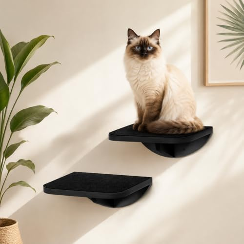 2PC Cat Stairs with Scratching Mat,Wall Mounted Cat Steps, Wooden Climbing Shelves for Cats, Cats Stairway Ladder Furniture for Perch Platform Supplies
