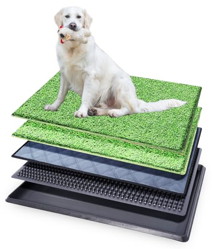 Hundetoilette 76×51 cm – 5-Schicht Hundeklo mit Tablett & 2 Ersatz Kunstrasen – Geruchsfrei, rutschfest, Waschbar – Für Zuhause, Balkon, Indoor & Outdoor