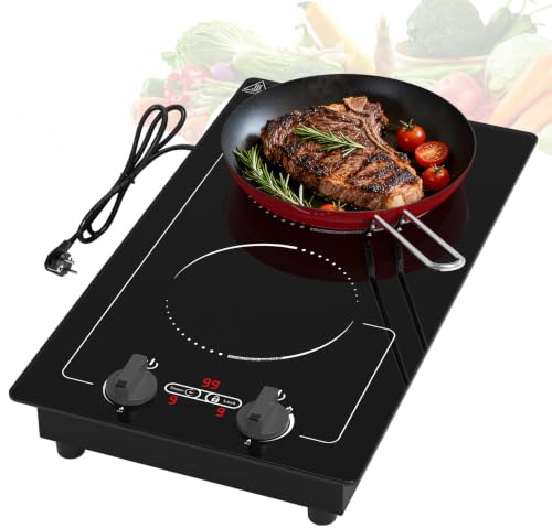 GIHETKUT Double Induction Cooktop, 110V 2300W hot plate with LED Touch Screen, 9 Power Levels, Kids Lock & Timer, Overheat Protection, knob and touch control 2 burner Induction cooktop