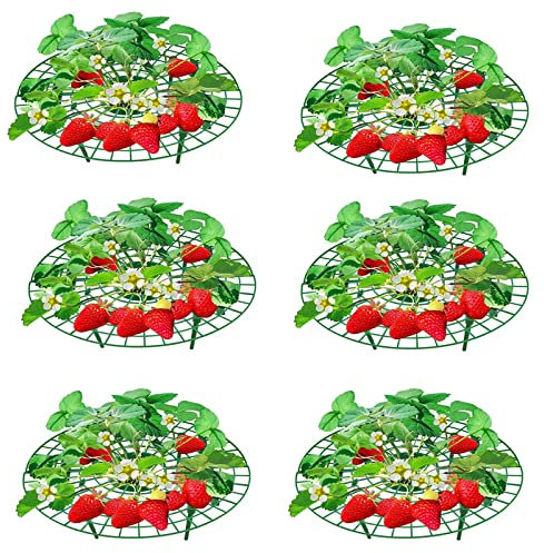 Richaa 6 Piezas Soportes Plantas Fresas Soporte para Marco de Fresa Marco de Cultivo Ligero Extraíble para Plantación de Balcones e Invernaderos