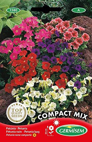Germisem Petunie, mehrfarbig, EC1580