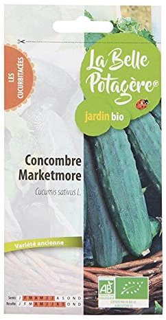 Graines à semer - Concombre Marketmore - 0,5 g