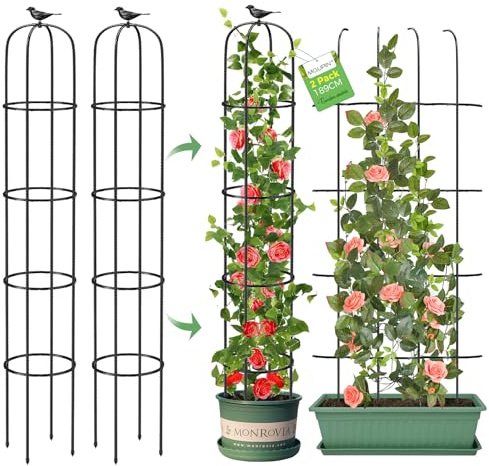 MQUPIN Obelisco per rampicanti,2Pcs Obelisco da giardino a torre da 189 cm,supporto rampicante in metallo antiruggine per fiori, ortaggi e frutta da interno e da esterno