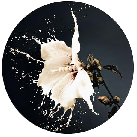 DEQORI Carta da parati rotonda autoadesiva Ø 80 cm | motivo fiore latteo | tela tessile – staccabile, decorativa e indeformabile – per soggiorno, ufficio, corridoio o cameretta dei bambini