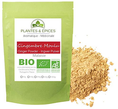 Plantes & Epices - Racine de Gingembre en Poudre Qualité 100% naturel - Sachet Fraîcheur Refermable (100g)