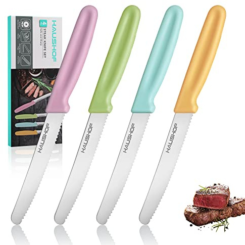 HAUSHOF Steak Knives Set of 4, Serrated Steak Knives, Premium Stainless Steel Steak Knife Set with Gift Box, Assorted Color