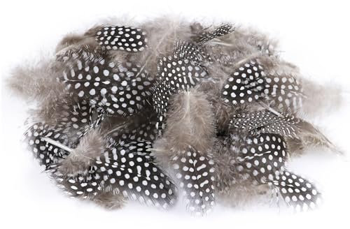ENLACE 100 Stück Perlhuhnfedern, Federn zum Basteln, 4,5-10 cm Natürliche Gesprenkelte Federn, Bastelfedern für DIY Ohrring Hochzeit Traumfänger Kopfschmucksfedern, Natürliche Farbe