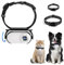 Fabater Katzenhalsband-Kamera, 1080P HD-Hunde-Tracker-Halsband, Mini-Action-Kamera für Videoaufzeichnungen Im Innen- und Außenbereich, kein WLAN Erforderlich, Geburtstagsgeschenk (White)