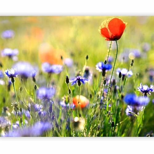 artgeist Wall Mural Meadow 138x106 in - Non-wovenn Wallpaper Fleece Wall Decor Photo Print Picture Design Image Decoration Home Nature Flower Plants Botanical 100406-17
