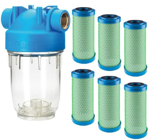 purway® DP 5 CYST 1 mcr vattenfilter 3/4 tum aktivt kolblock giardia klor