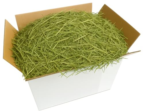 Alfalfa (Alfalfa) 15 kg | Naturlig Alfalfa-hö | Rik på fiber, protein och kalcium, perfekt för kaniner, marsvin, små gnagare och hästar | Tillväxt, dräktighet, smaklighet