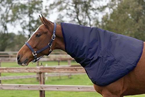 QHP Manta Impermeable para Caballos 200 g