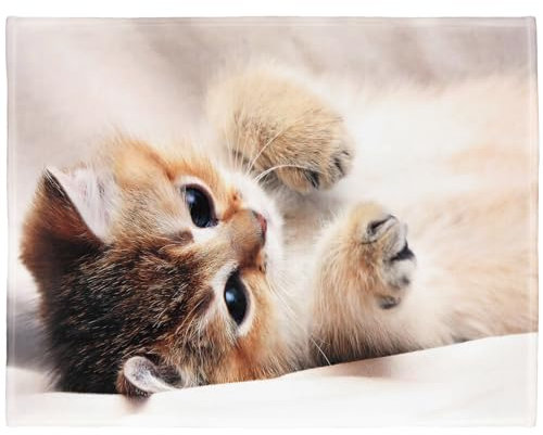YISUMEI Tiermotiv Kuscheldecke Süße Katze Weich Bequem Kunstfell Decke Kuscheldecken für Couch Bett M,100 x 150 cm